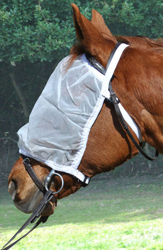 RIDING FLY MASK