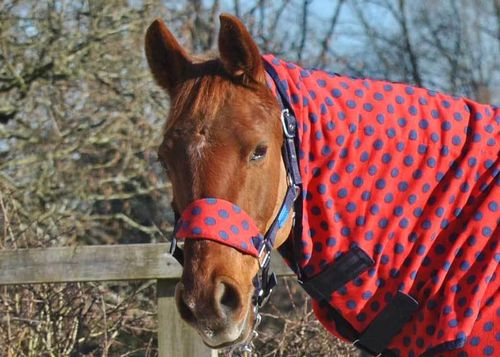 DELUXE FLEECE HEADCOLLAR WITH LEADROPE - RED WITH NAVY SPOT