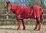 COMBO RED WITH NAVY SPOT FLEECE RUG - STANDARD SIZES