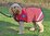 FLEECE DOG COAT - RED NAVY SPOT - L & XL